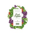 Tasty basil and mozarella vertical design template. Engraved illustration. Italian ingredients. Caprese ingredients.