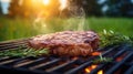 Tasty BBQ steak with rosemary on a flaming barbecue grill outdoors Royalty Free Stock Photo