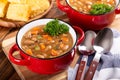 Tasty Bean Soup in a Red Bowl Royalty Free Stock Photo