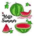 Hello Summer Watermelon