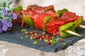 Tasty beef steak kabobs with vegetables Royalty Free Stock Photo