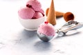 Tasty Berries Ice Cream in White Bowl Ice Cream Scoop Waffle Cone Summer Dessert Horizontal Royalty Free Stock Photo