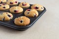 Tasty berries maffins cupcakes stuffed with black currant or blueberries.