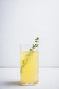 Tasty bitter cocktail with thyme