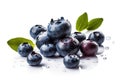 tasty bluberries on a white background Royalty Free Stock Photo