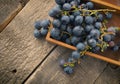 Tasty blue grapes in a wooden box Royalty Free Stock Photo
