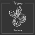 Tasty blueberry with leaves monochrome berry sepia sketch.