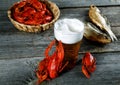 Tasty boiled crayfishes vyaleny fish and beer Royalty Free Stock Photo