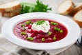 Tasty borscht with sour cream with green onion. Generate Ai