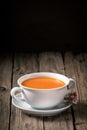 Tasty bowl of fresh liquidised carrot soup