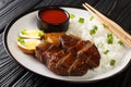 Tasty braised Duck with white rice, eggs, tofu and chili sauce close-up in a plate. horizontal Royalty Free Stock Photo