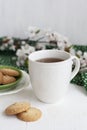 A tasty break: a cup of tea with a plate of cookies Royalty Free Stock Photo