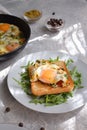 Tasty breakfast. Crispy Toast with fried egg and spices. Sandwich in a white plate with arugula. Light background. Vertical view Royalty Free Stock Photo