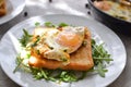 Tasty breakfast. Crispy Toast with fried egg and spices. Sandwich in a white plate with arugula. Light background Royalty Free Stock Photo