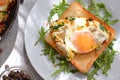 Tasty breakfast. Crispy Toast with fried egg and spices. Sandwich in a white plate with arugula. View from above. Light background Royalty Free Stock Photo