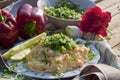 Scrambled eggs decorated with fresh paprikas, cucumber and onion Royalty Free Stock Photo