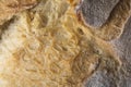 Tasty Brown bread macro still wheat texture detail Royalty Free Stock Photo