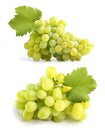 Tasty bunches of white grapes with leaf Royalty Free Stock Photo