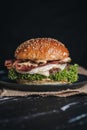 Tasty burger with bacon and cheese on dark background. Royalty Free Stock Photo