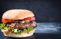 Tasty burger Royalty Free Stock Photo