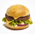 Tasty burger Royalty Free Stock Photo