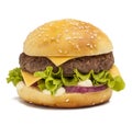 Tasty burger Royalty Free Stock Photo