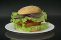 hamburger with chicken cutlet, tomatoes, onion and salad