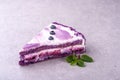 Tasty cake with blueberries on a gray background2 Royalty Free Stock Photo