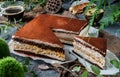 Tasty cake tiramisu sprinkled with powdered cocoa in grey background with cup of coffee and plants. Sweets, dessert and pastry, Royalty Free Stock Photo