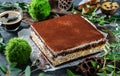 Tasty cake tiramisu sprinkled with powdered cocoa in grey background with cup of coffee and plants. Sweets, dessert and pastry, Royalty Free Stock Photo