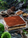 Tasty cake tiramisu sprinkled with powdered cocoa in grey background with cup of coffee and plants. Sweets, dessert and pastry, Royalty Free Stock Photo