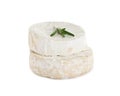 Tasty camembert and brie cheeses with rosemary on white Royalty Free Stock Photo