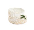 Tasty camembert and brie cheeses with rosemary on white Royalty Free Stock Photo