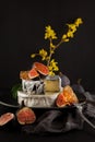 Tasty camembert with fresh figs and honey with honeycombs, decorated on a plate on dark background