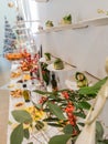 Tasty canapes plates in line hanging with caviar