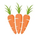 Tasty carrots design vector illustration