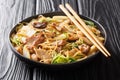 Tasty Cellophane noodles with fried pork belly, shiitake and napa cabbage in soy sauce close-up in a plate. Horizontal Royalty Free Stock Photo