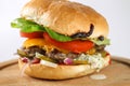 Tasty cheese beef burger with lettuce, cheddar and tzatziki