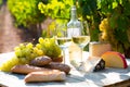 Tasty cheese, wine, grapes and bread on table in vineyards Royalty Free Stock Photo