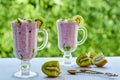 Tasty chia milk pudding in the glass decorated with sliced kiwi fruit and two vintage spoons. Detox superfoods breakfast Royalty Free Stock Photo