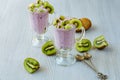 Tasty chia milk pudding in two glasses decorated with sliced kiwi fruit and two vintage spoons Royalty Free Stock Photo