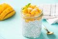 Tasty chia pudding with mango in jar Royalty Free Stock Photo