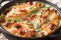 Tasty chicken fillet with sun-dried tomatoes and spinach in cheese sauce close-up in a pan. horizontal Royalty Free Stock Photo