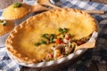 Tasty Chicken pot pie close-up in baking dish. horizontal Royalty Free Stock Photo