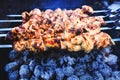 Tasty chicken shashlik. Skewered meat on the open grill.