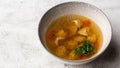 Tasty chicken soup bouillon with dumplings, chicken meat and parsley in a white bowl. Isolated on marble background Royalty Free Stock Photo