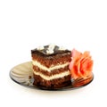 Tasty chocolate cake isolated on white Royalty Free Stock Photo