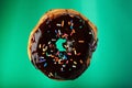 Tasty chocolate donut Royalty Free Stock Photo