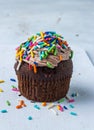 Tasty chocolate muffin with colorful crumbs isolated on white background. Royalty Free Stock Photo