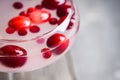 Tasty christmas cocktail with cranberry and foxberry